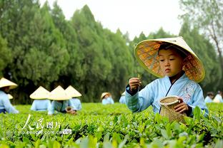 半岛电竞直播在哪看啊